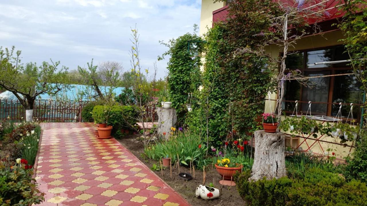 Pensiunea Anda Tulcea Exterior photo