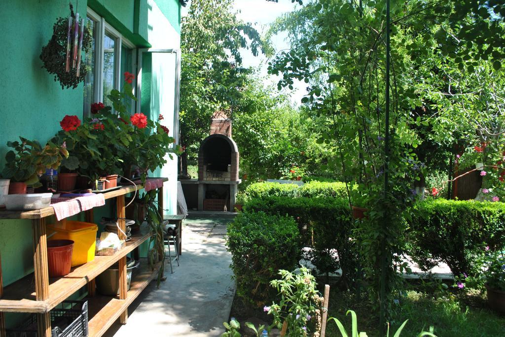 Pensiunea Anda Tulcea Exterior photo
